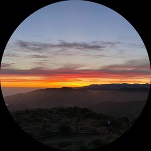 Meet your Posher, Bella